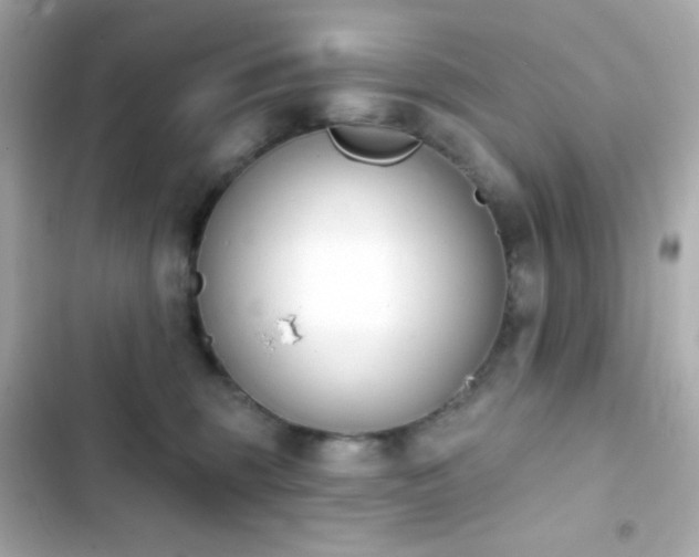 X0000103930375200809191356