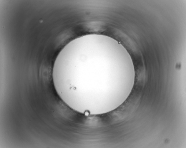 X0000103930376200809191356