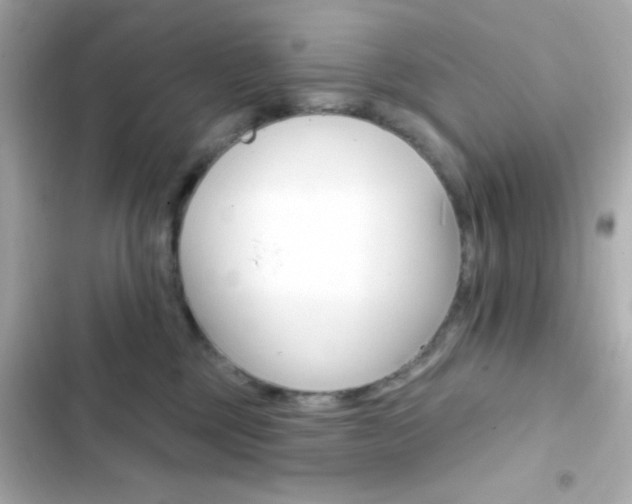 X0000103930377200809191356