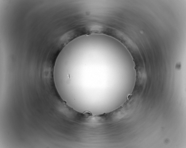 X0000103930379200809191356