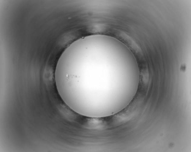 X0000103930380200809191356