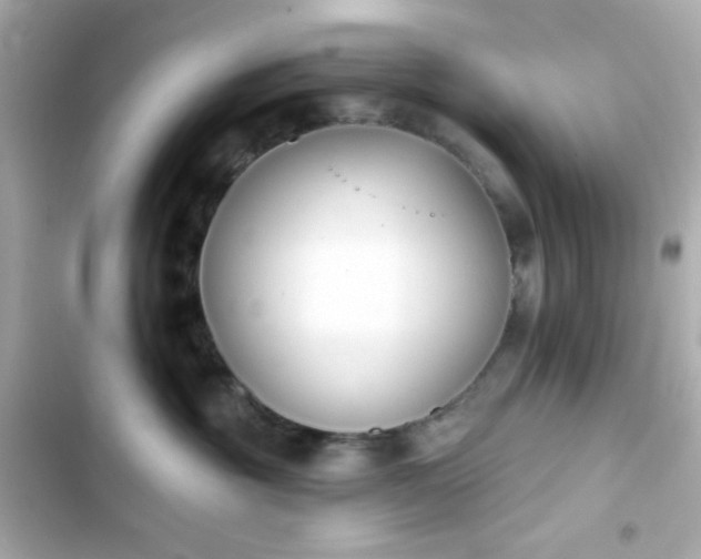 X0000103930381200809191356
