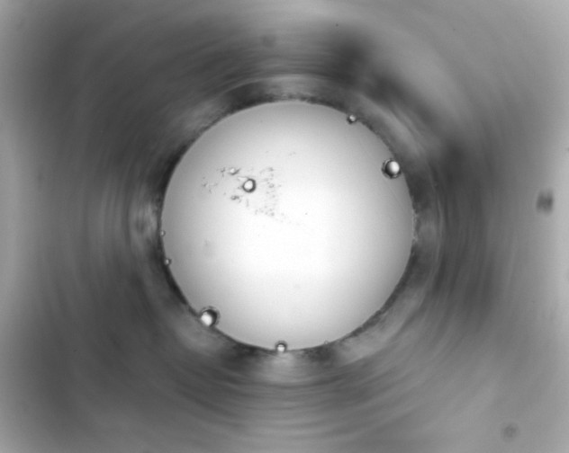 X0000103930382200809191356