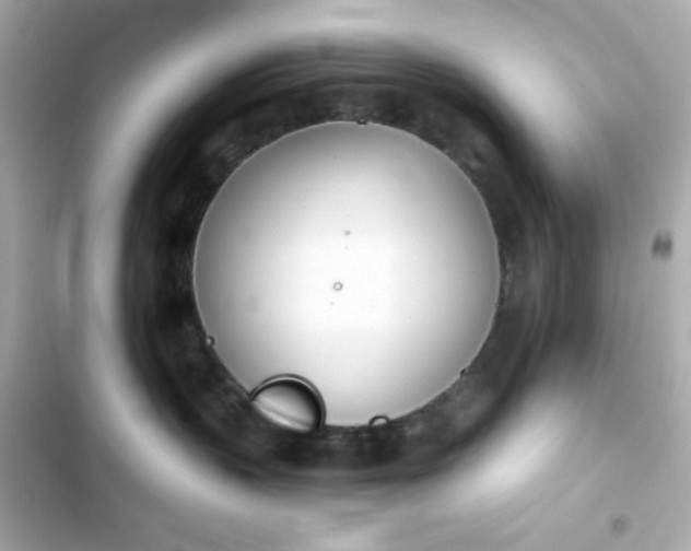 X0000103930383200809191356