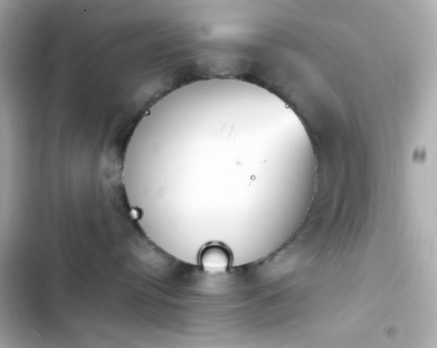 X0000103930384200809191356