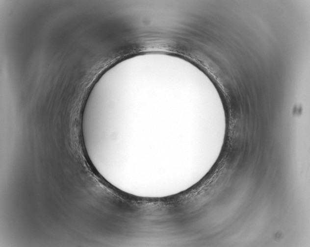 X0000103930385200809191356