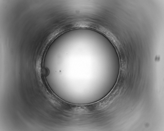 X0000103930386200809191356