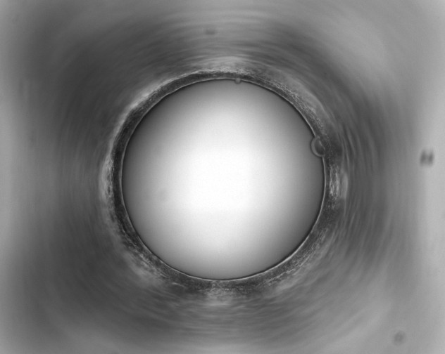 X0000103930388200809191356
