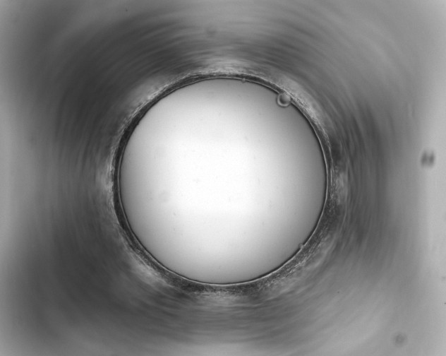 X0000103930389200809191356