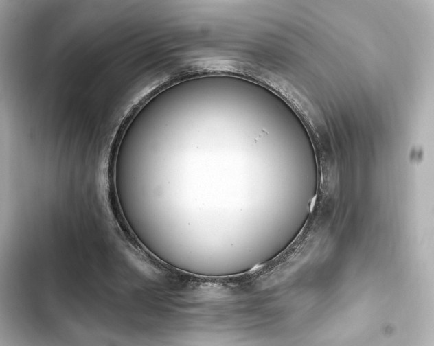 X0000103930390200809191355