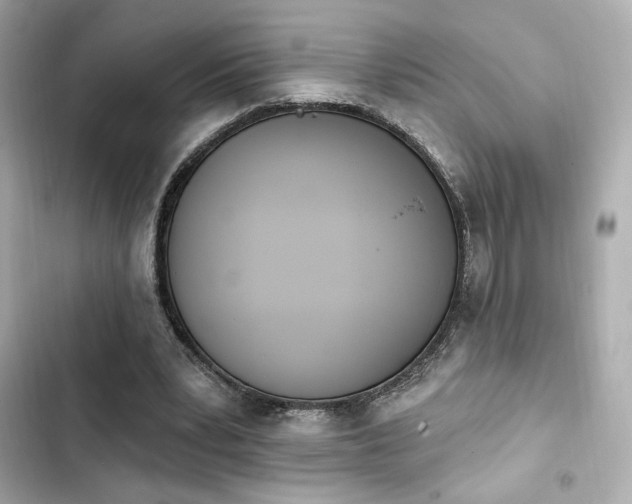 X0000103930391200809191355