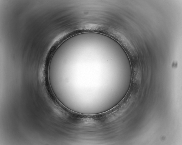 X0000103930392200809191355
