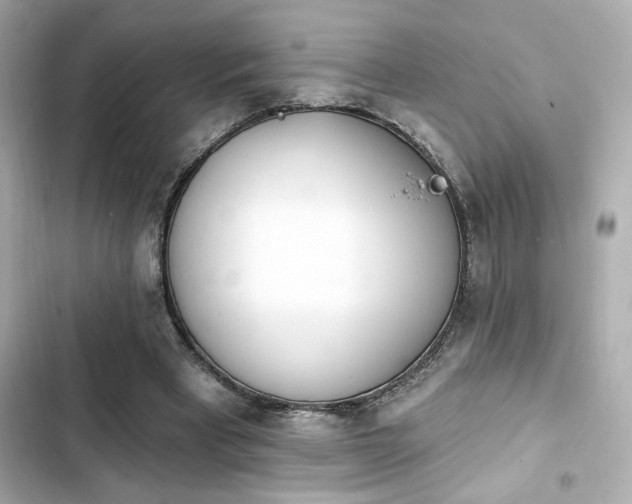 X0000103930393200809191355