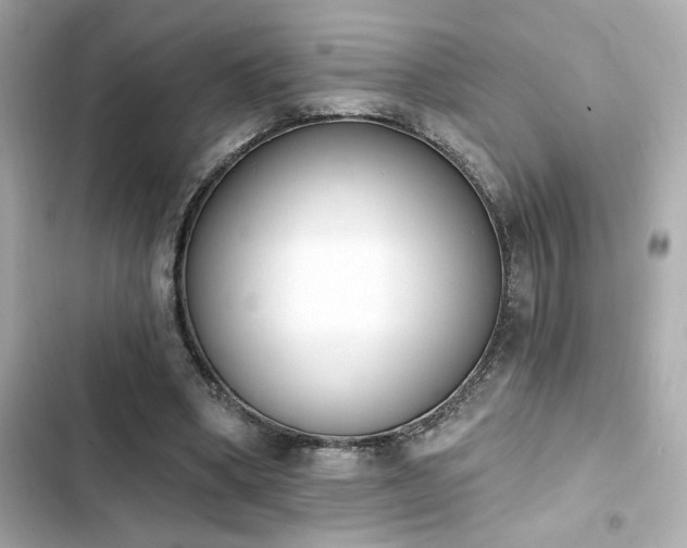 X0000103930394200809191355