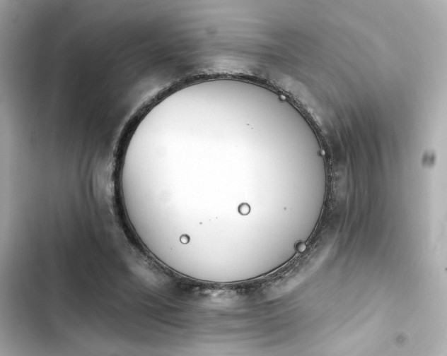 X0000103930395200809191355