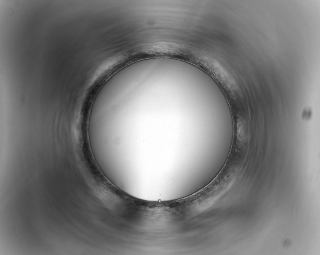 X0000103930396200809191355