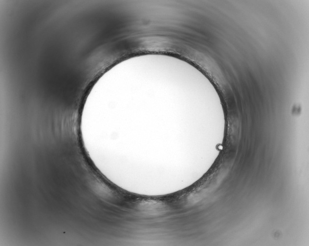 X0000103930397200809191355