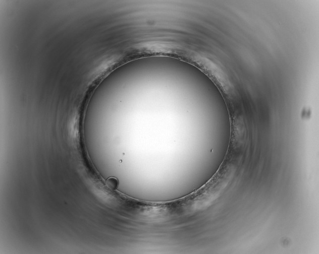 X0000103930398200809191355