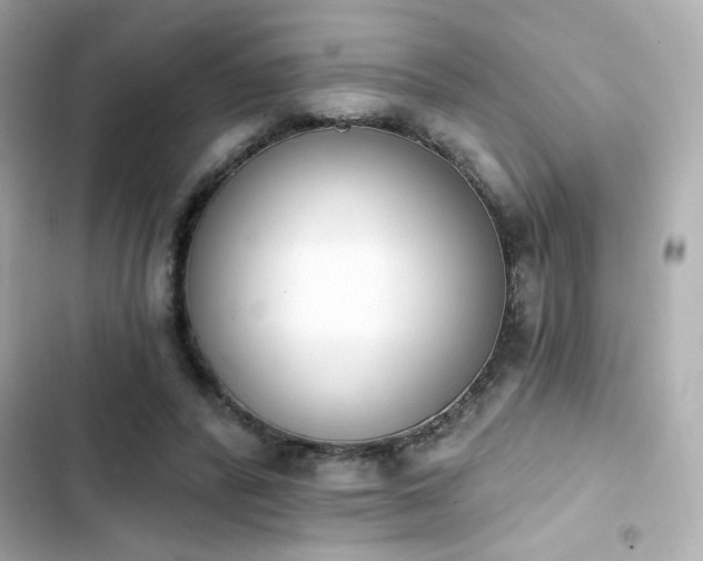 X0000103930400200809191355