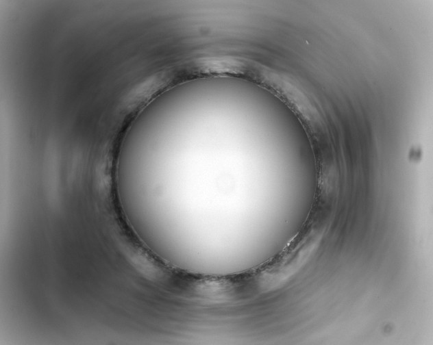 X0000103930402200809191355