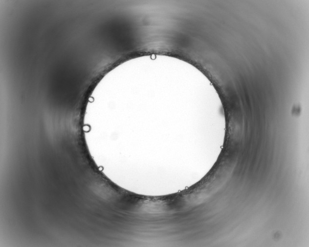 X0000103930403200809191355