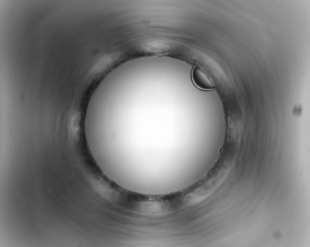 X0000103930404200809191355
