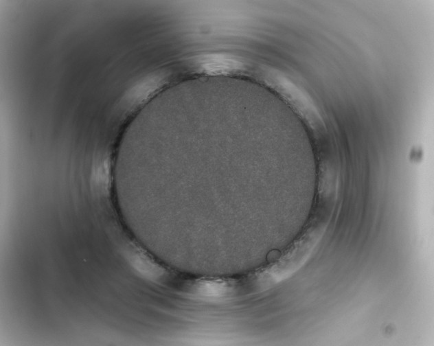X0000103930405200809191355