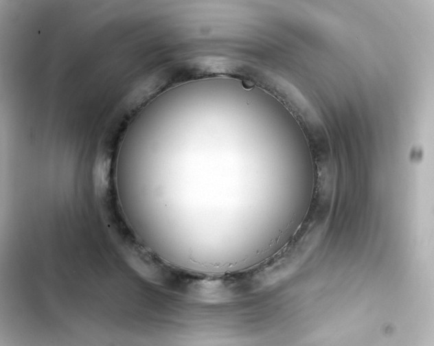 X0000103930406200809191355