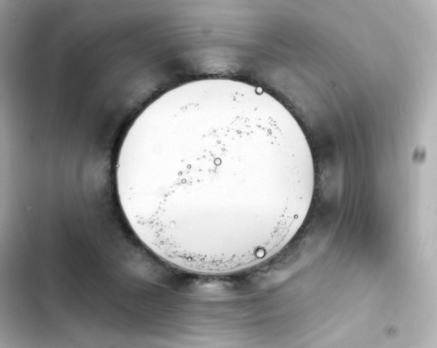 X0000103930407200809191355
