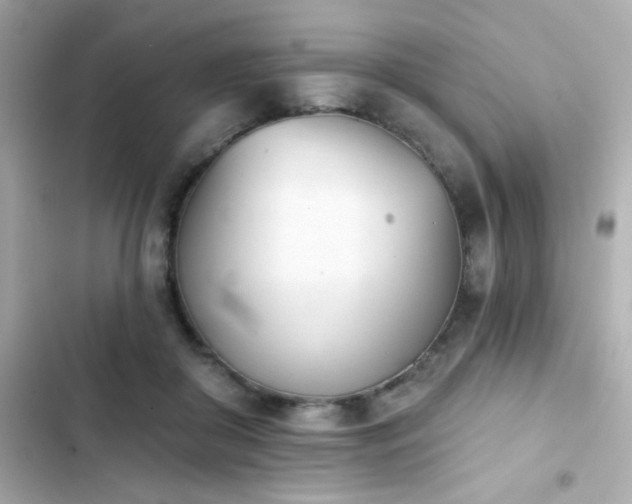 X0000103930410200809191355
