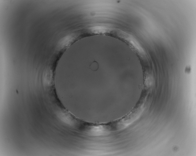 X0000103930411200809191355