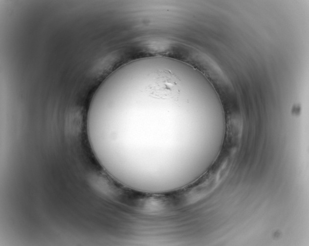 X0000103930412200809191355