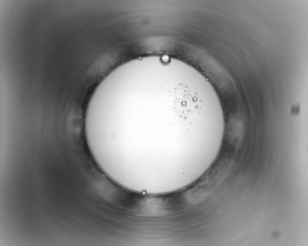 X0000103930413200809191355