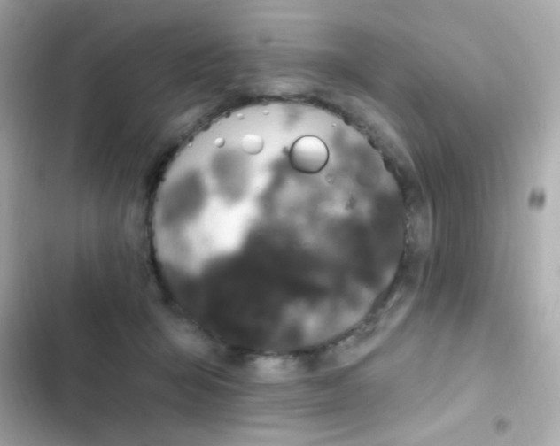 X0000103930415200809191355