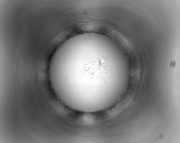 X0000103930416200809191355