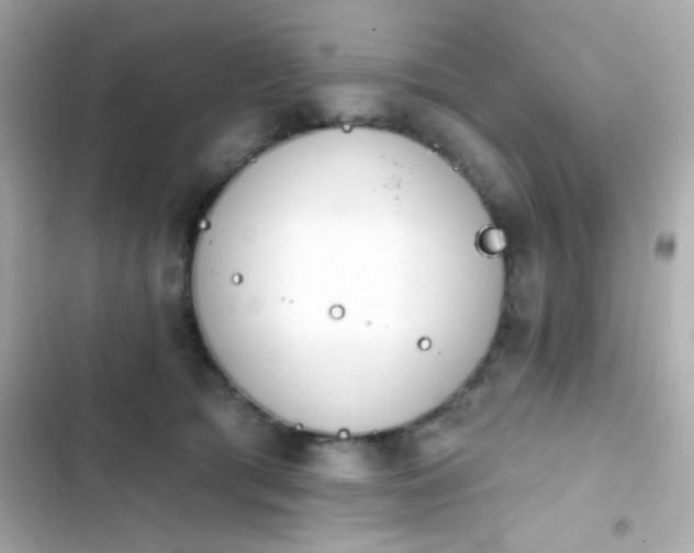X0000103930417200809191355