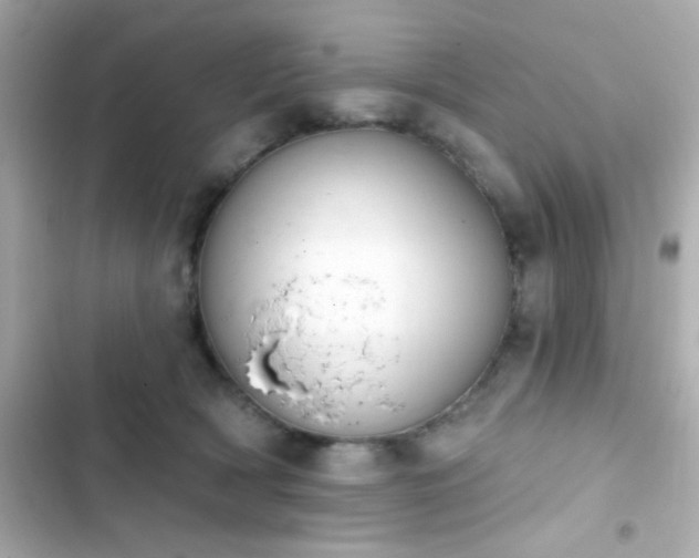 X0000103930418200809191355