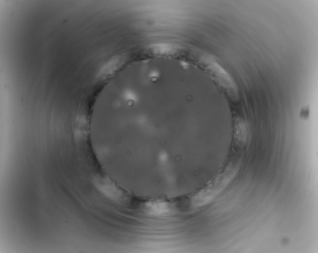 X0000103930419200809191355