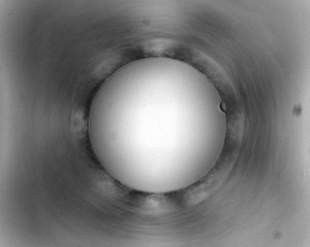 X0000103930420200809191355