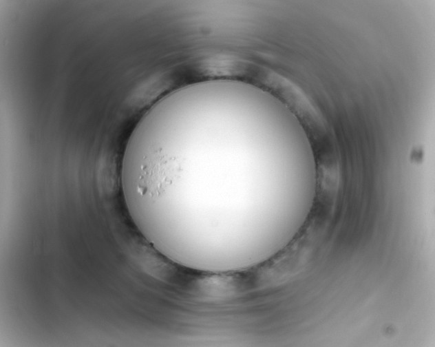 X0000103930422200809191355