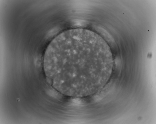 X0000103930423200809191355