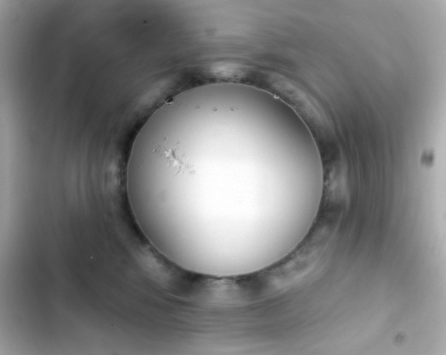 X0000103930424200809191355
