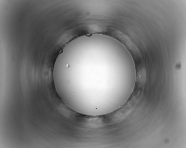X0000103930426200809191355