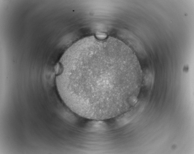 X0000103930427200809191355