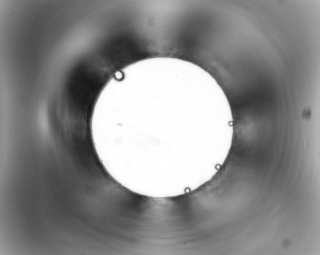 X0000103930429200809191355