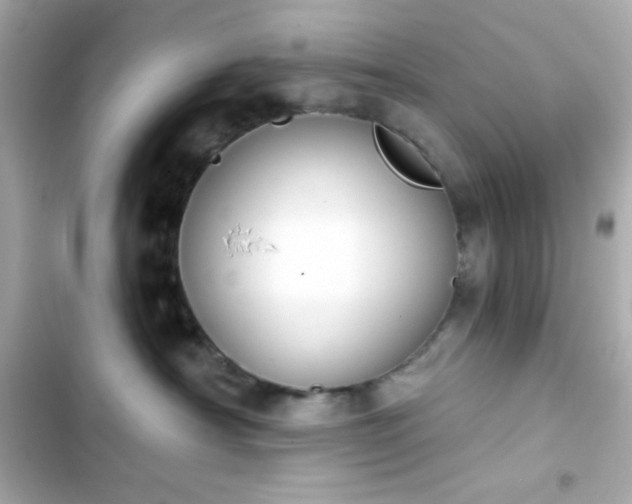 X0000103930430200809191355