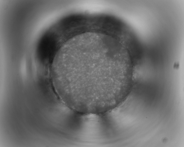 X0000103930431200809191355
