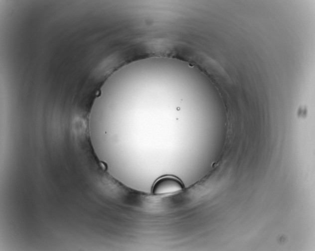 X0000103930432200809191355