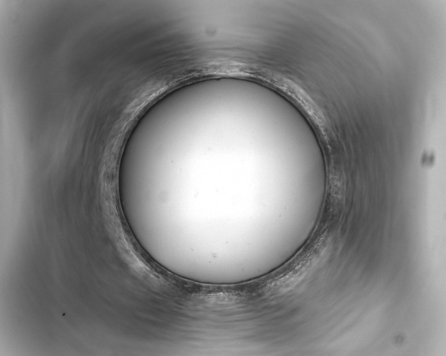 X0000103930433200809191354
