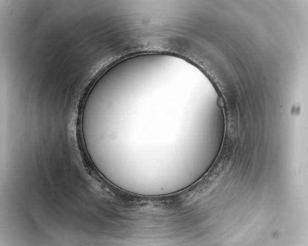 X0000103930434200809191354